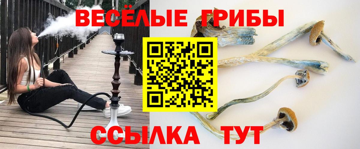 Псилоцибиновые грибы MAGIC MUSHROOMS  Галлюциногенные грибы Psilocybe  Вход с VPN  Костомукша 