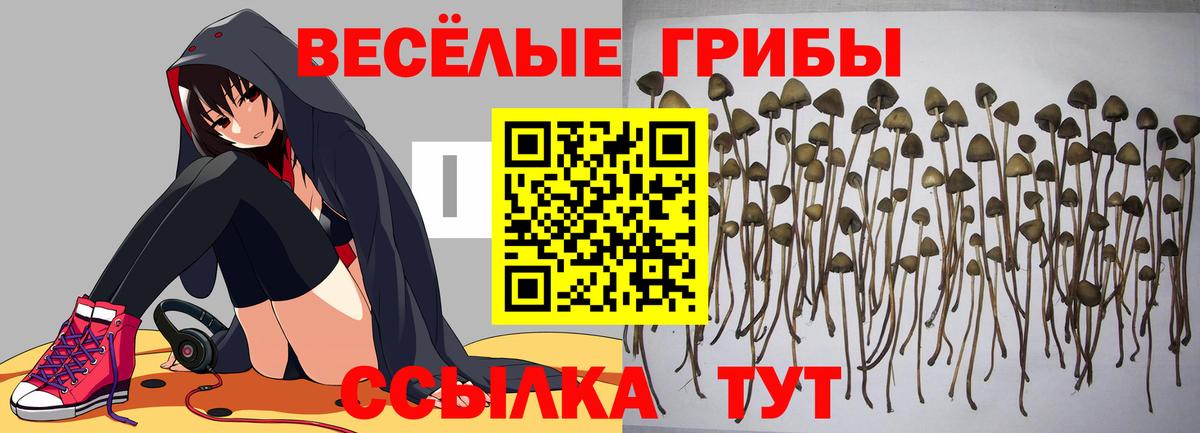Псилоцибиновые грибы MAGIC MUSHROOMS Костомукша